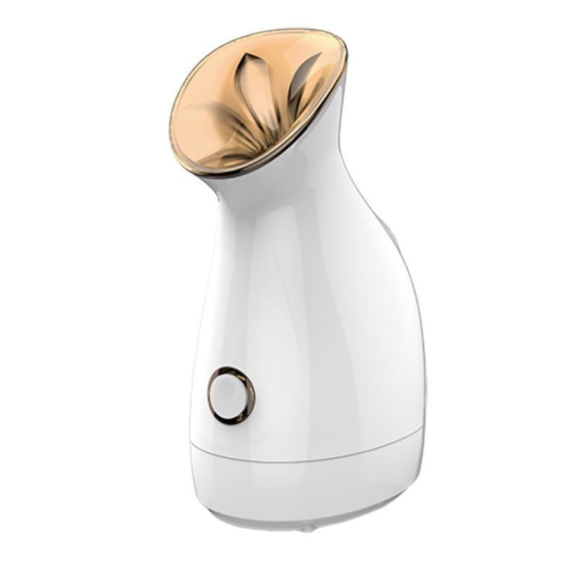 Face Steamer