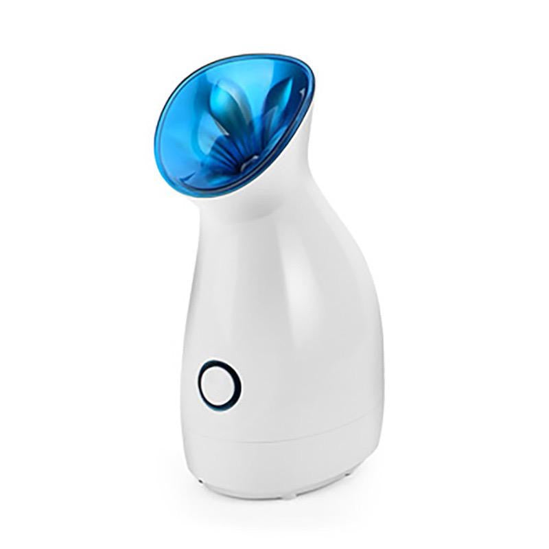 Face Steamer