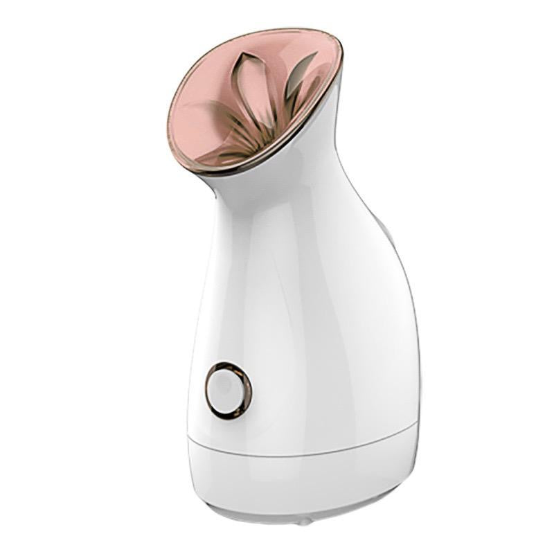 Face Steamer