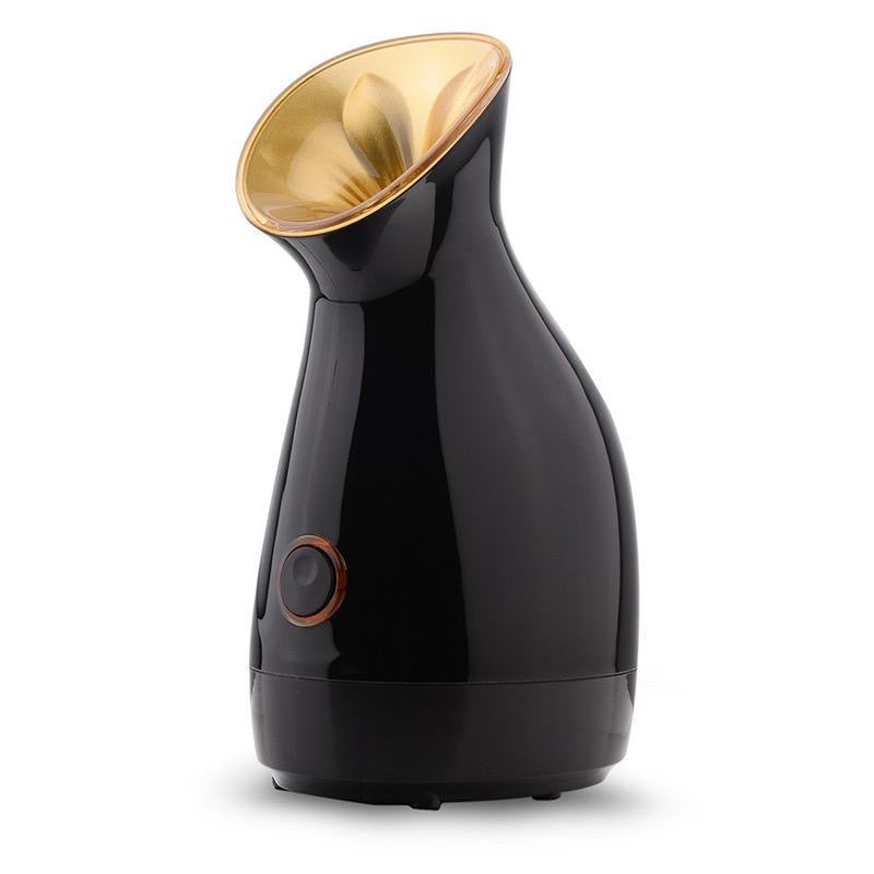 Face Steamer